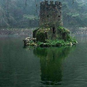 Meet your Posher, Nelson